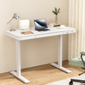 Artiss 120cm Electric Standing Desk White Motorised Drawer