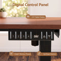 Artiss Electric Standing Desk Height Adjustable Table 120cm Walnut Black