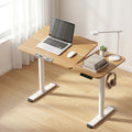 Artiss Electric Standing Desk Height Adjustable Tilt Top