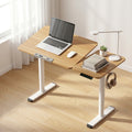 Artiss Electric Standing Desk Height Adjustable Tilt Top