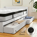 Giselle SINGLE Mattress 5-zone Pocket Spring Mattresses with Artiss Wooden Storage Bed Frame Set