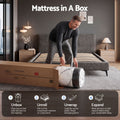 Giselle Bedding 32cm Mattress Euro Top Queen