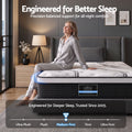 Giselle Bedding 32cm Mattress Euro Top Single