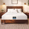 Giselle 25cm Queen Hybrid Mattress Soft Knitted Fabric Edge Support Gel Foam
