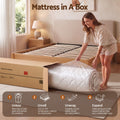 Giselle 30cm Double Spring Mattress Tencel Cover 5-Zone Firm Back Support