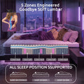 Levitex King Mattress Lumbar Support, 5-Zone Pocket Springs & 2-Row Hardened Edges for Deep Sleep, Cooling Gel Memory & Egg-Crate Foam