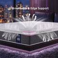Levitex Queen Mattress Lumbar Support, 5-Zone Pocket Springs & 2-Row Hardened Edges for Deep Sleep, Cooling Gel Memory & Egg-Crate Foam