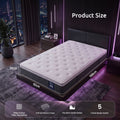 Levitex Single Mattress Lumbar Support 5-Zone Individual Pocket Spring 30CM