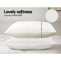 Giselle Memory Foam Pillow 19cm Thick Twin Pack