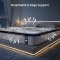 Levitex Queen Mattress 34 cm 5-Zone Pocket Spring with Latex & Memory Foam or Extra Lumbar & Shoulder Support