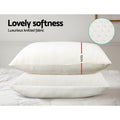 Giselle Memory Foam Pillow 13cm Twin Pack