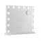 Embellir Hollywood Makeup Mirror 60x52cm LED Light Tabletop White