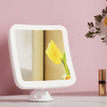 Embellir 10X Magnification LED Makeup Mirror Suction Cup Cordless