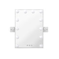 Embellir Hollywood Mirror 12 LED Bulbs Vanity Makeup Wall Light