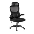 Artiss Ergonomic Office Chair Mesh Black