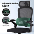Artiss Ergonomic Mesh Office Chair Black