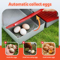 i.Pet Chicken Nesting Box 3 Hole Roll Away Egg Hutch Red