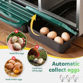 i.Pet Chicken Nesting Box 6 Holes Roll Away Metal Wall Mounted Green
