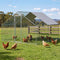 i.Pet Chicken Coop Rabbit Hutch Outdoor Run Walk in Hen Cage Ferret House 3x3x2m