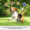 i.Pet Dog Ball Launcher Treat Dispenser 2 Balls Green
