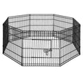 i.Pet 24