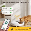 i.Pet Automatic Cat Feeder Wet & Dry Food 6 Compartments Per 150ml WiFi White