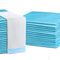 i.Pet Training Pads 200pc 60x60cm Puppy Dog Toilet Absorbent Blue