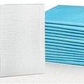 i.Pet Training Pads 200pc 60x60cm Puppy Dog Toilet Absorbent Blue