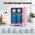 Glacio 4L Mini Fridge Skincare Cooler Warmer LED Mirror 12V 220V Pink