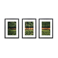 3pc A3 Photo Frame Set Wall Black Picture Art Home Decor