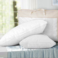 Giselle Goose Feather Down Pillow Twin Pack 50x75cm