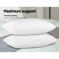 Giselle Goose Feather Down Pillow Twin Pack 50x75cm