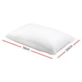 Giselle Goose Feather Down Pillow Twin Pack 2x