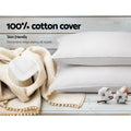 Giselle Goose Feather Down Pillow Twin Pack 2x