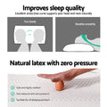 Giselle Natural Latex Pillow Twin Pack Classic