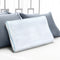 Giselle Memory Foam Contour Pillow Cool Gel