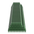 Green Fingers Plant Stakes 60cm Metal 48pcs Garden Support