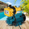 Giantz Auto Controller Garden Pump Clean Water Irrigation System