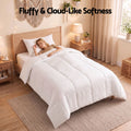 Giselle Bedding Single Quilt, 200GSM Summer Duck Down Feather Doona Insert