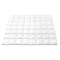 Giselle 700GSM Duck Down Feather Quilt DOUBLE Winter Doona Blanket