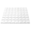Giselle 800GSM Goose Down Quilt DOUBLE Winter Duvet Comforter