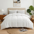 Giselle QUEEN 400GSM Microfiber Quilt All Season Duvet Comforter