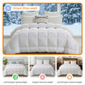 Giselle 800GSM Wool Quilt Double Baffle Box Winter Doona 100%