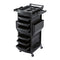 Embellir Salon Trolley 2 Lockable Doors 6 Tier Trays Mobile Hair Cart Black