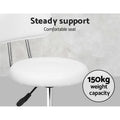 Artiss Salon Stool Swivel Chair White Backrest