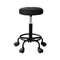 Artiss Salon Stool Round Swivel Chair Black
