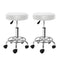 Artiss Salon Stool Swivel Chair White Round x2