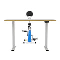 Artiss Standing Desk 140cm with X-Bike Magnetic Resistance Oak