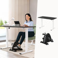 Artiss 140cm Electric Standing Desk with Pedal Bike Home Office