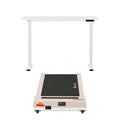 Artiss 120cm Electric Standing Desk Treadmill Walking Pad